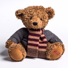 Picture for category Teddy Bear Scarves
